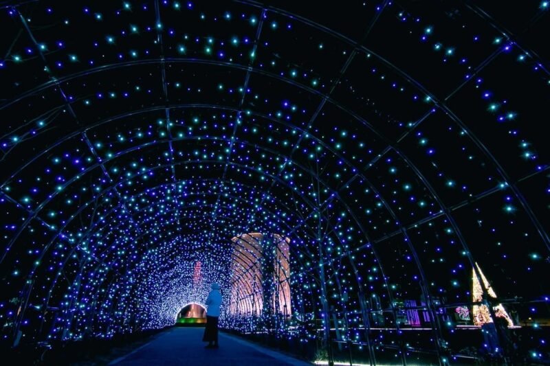 🌸 백합 마을 공원 유림 하루에 이미지 6